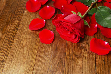 Beautiful petals of red roses on wooden background
