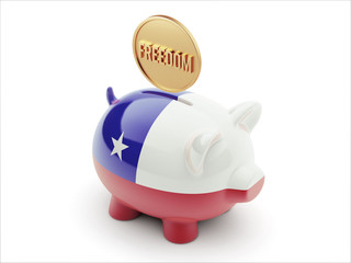 Chile Freedom Concept Piggy Concept