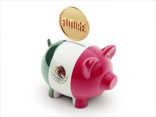 Mexico. Future Concept Piggy Concept