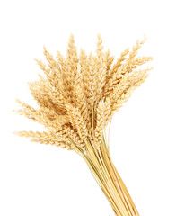 Fototapeta premium Sheaf of wheat isolated on white