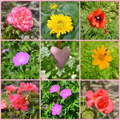 Fotocollage - Blumen - Blüten - Herz