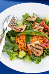 Salad with grilled chicken and vegetables