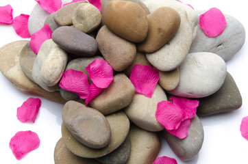 Pebbles with pink petals