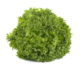 Obraz premium oak leaf lettuce isolate on white
