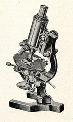 Optical microscope