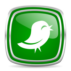 twitter glossy computer icon on white background