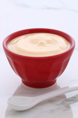 plain french style yogurt