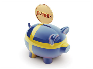 Sweden Hospitals Concept Piggy Concept