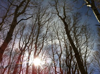 change of the season