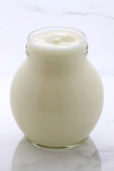 plain french style yogurt