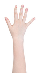 five fingers hand gesture isolated