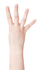 Obraz premium account four - hand gesture