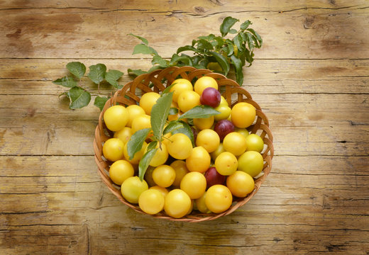 Prunus cerasifera Cherry plum Crvenolisna &scaron;ljiva Kiraz eriği