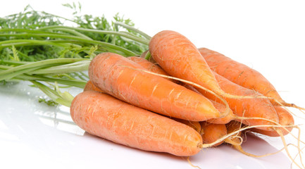 Bunch of fresh carrots with leaves