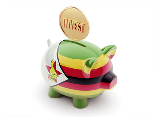 Zimbabwe Invest Concept. Piggy Concept