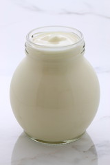 plain french style yogurt