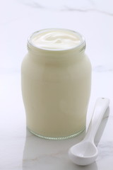 plain french style yogurt