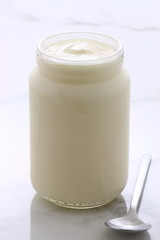plain french style yogurt