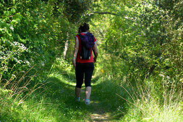 mujer joven caminando por el bosque