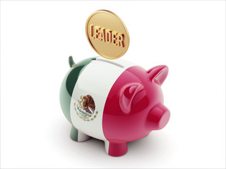 Mexico.  Piggy Concept
