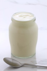 plain french style yogurt