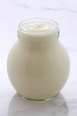 plain french style yogurt