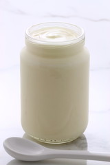 plain french style yogurt