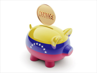 Venezuela Manage Concept Piggy Concept