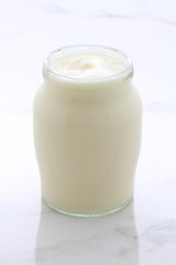 plain french style yogurt