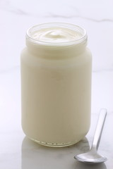 plain french style yogurt