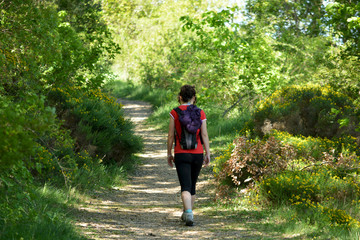 mujer caminando por un camino entre arboles en verano