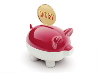 Indonesia Money Concept Piggy Concept