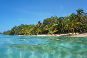 Sandy beach with tropical vegetation Caribbean sea