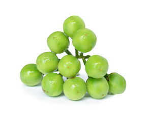 thai eggplant on white background