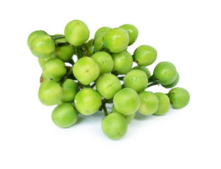 thai eggplant on white background