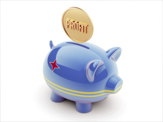 Aruba. Profit Concept. Piggy Concept