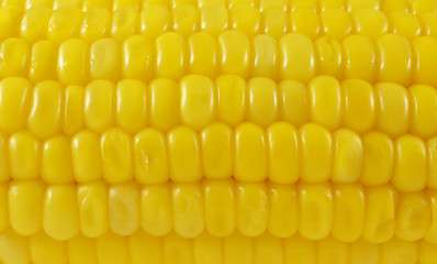Fresh raw corn