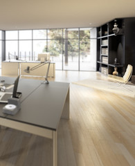 Luxury Office Area (detail)