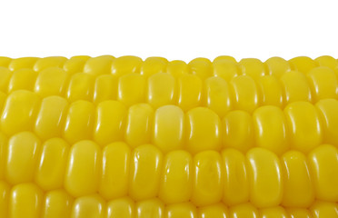Fresh raw corn