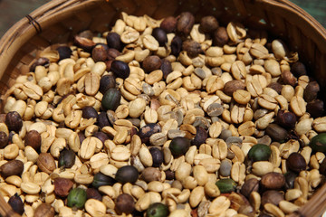 コーヒーの生豆とコーヒーの実