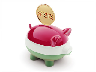 Fototapeta premium Hungary Science Concept Piggy Concept