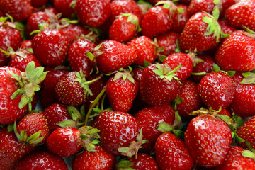 Ripe sweet strawberries close-up