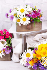 Beautiful flowers in crates on small ladder on light background