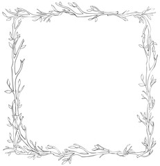 Frame of  branches