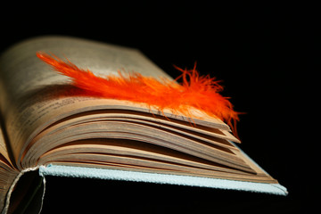 Fototapeta na wymiar Feather lying on pages of open book, isolated on black
