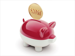 Indonesia Smart Concept Piggy Concept