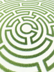 Labyrinth grass