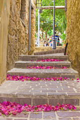 the historic city of Chania.