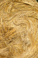 Close-up of a hay bale in a field
