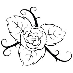 black and white illustration Rose